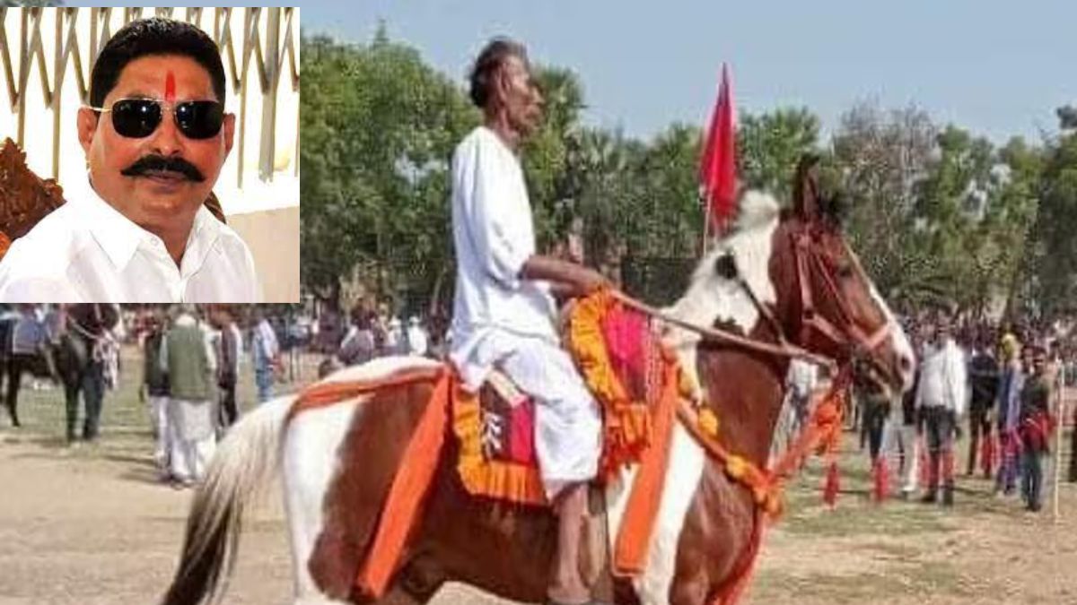 Anant Singh Horse